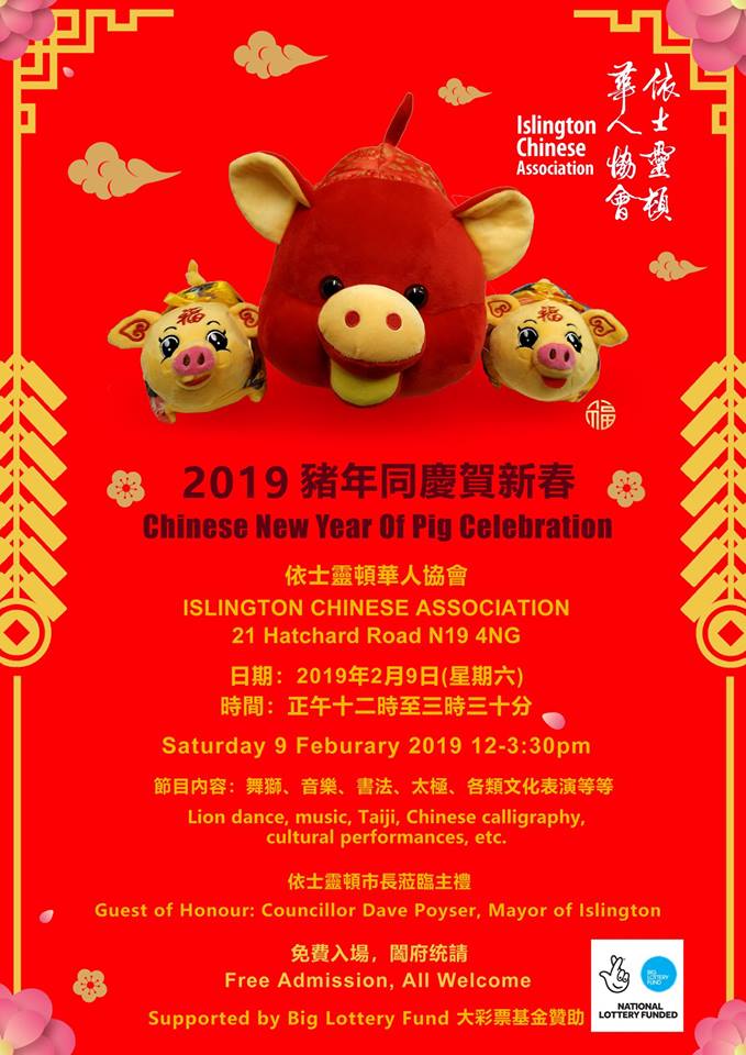 year of the pig